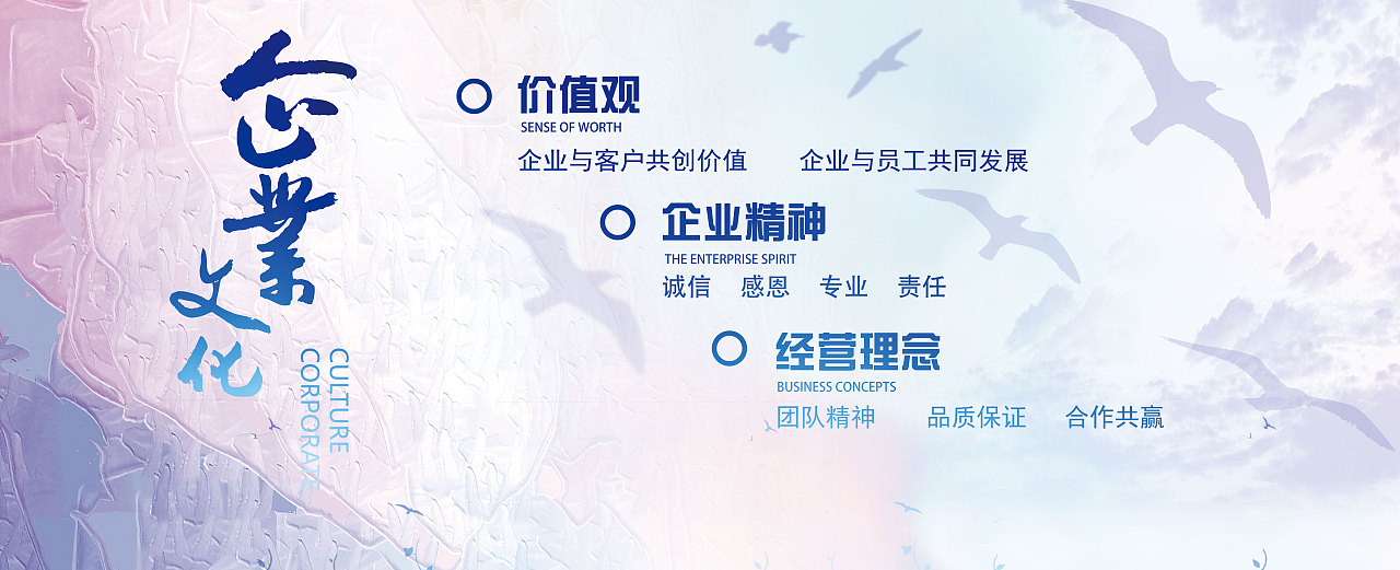 Odoo • 图像和文字